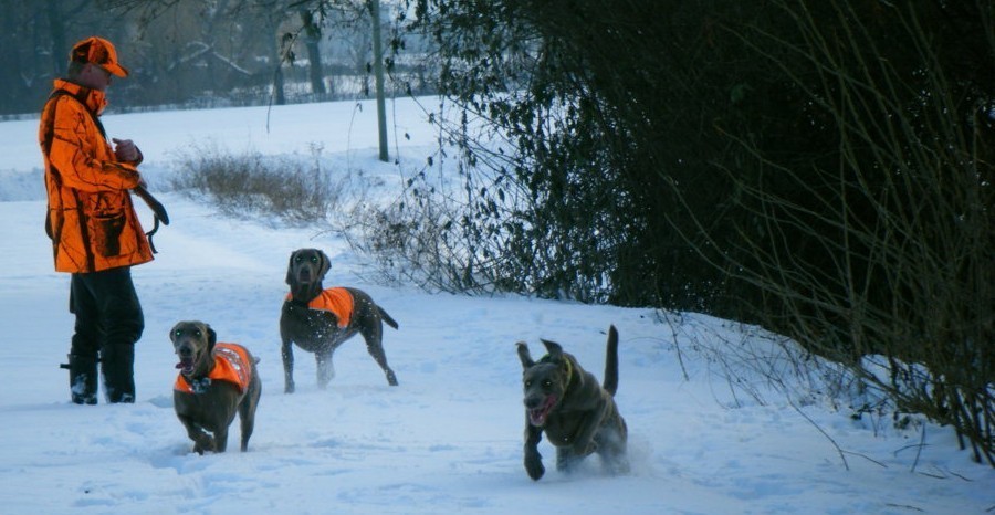 (FILEminimizer) 2010-01 (FILEminimizer) 2010-01
