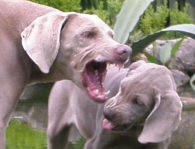 2009-Dez(FILEminimizer)-crop 2009-Dez(FILEminimizer)-crop