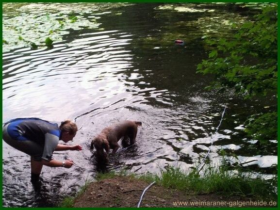 2012-07-01- (1) (FILEminimizer) 2012-07-01- (1) (FILEminimizer)
