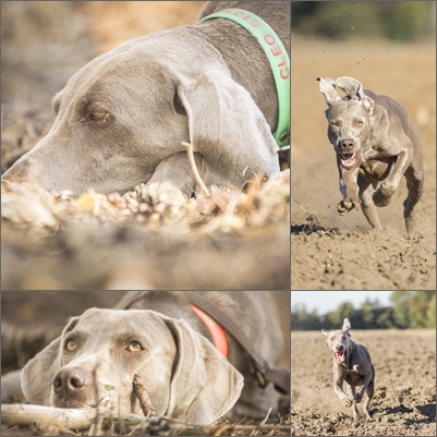 2018-1010-FotoschFvdG (3) 2018-1010-FotoschFvdG (3)