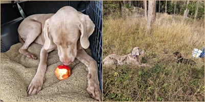 2025-1113-page01 2025-1113-page01