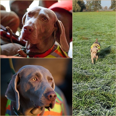 2025-1122-page-02 2025-1122-page-02