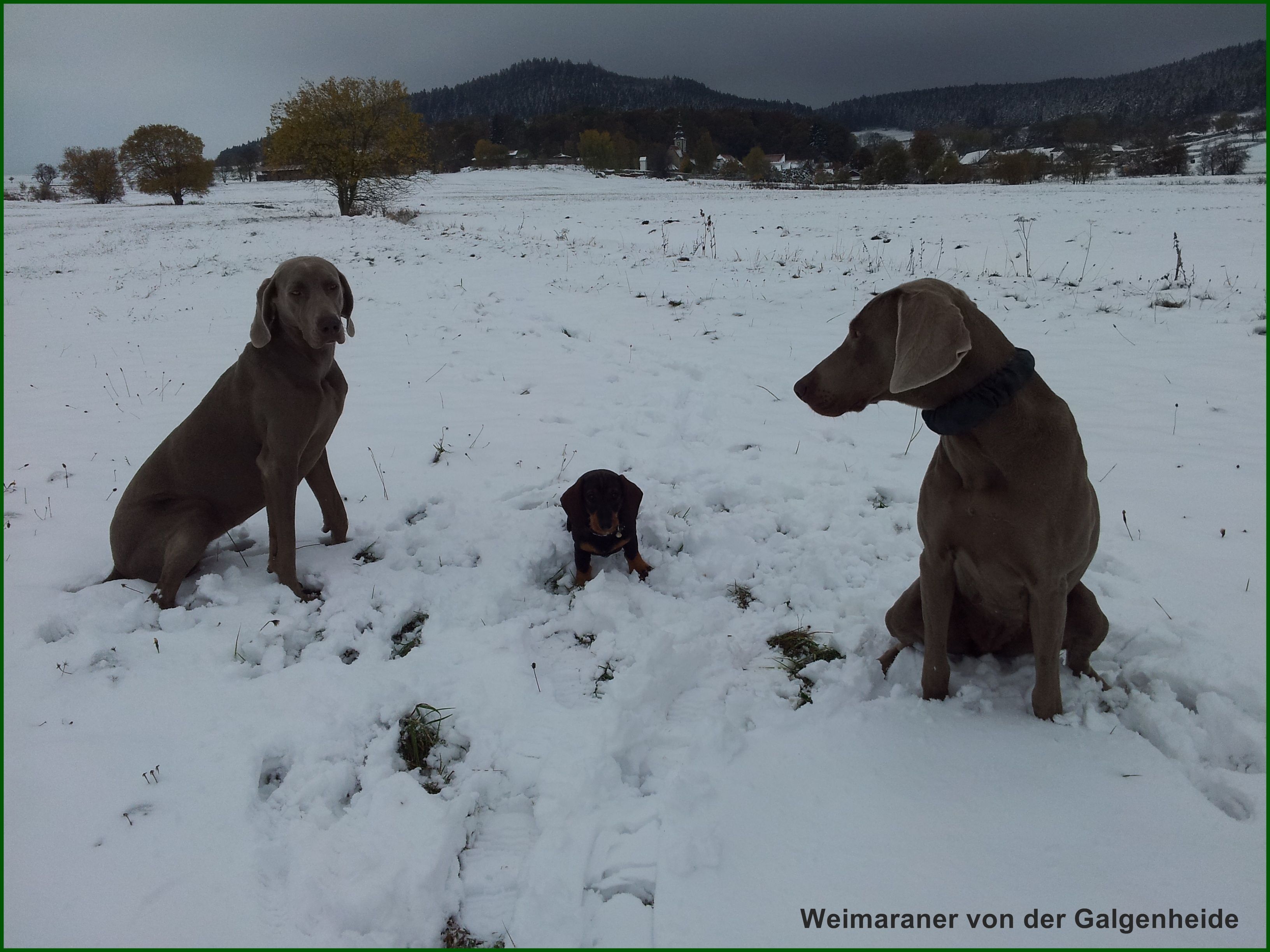 W3 (3) (FILEminimizer) W3 (3) (FILEminimizer)
