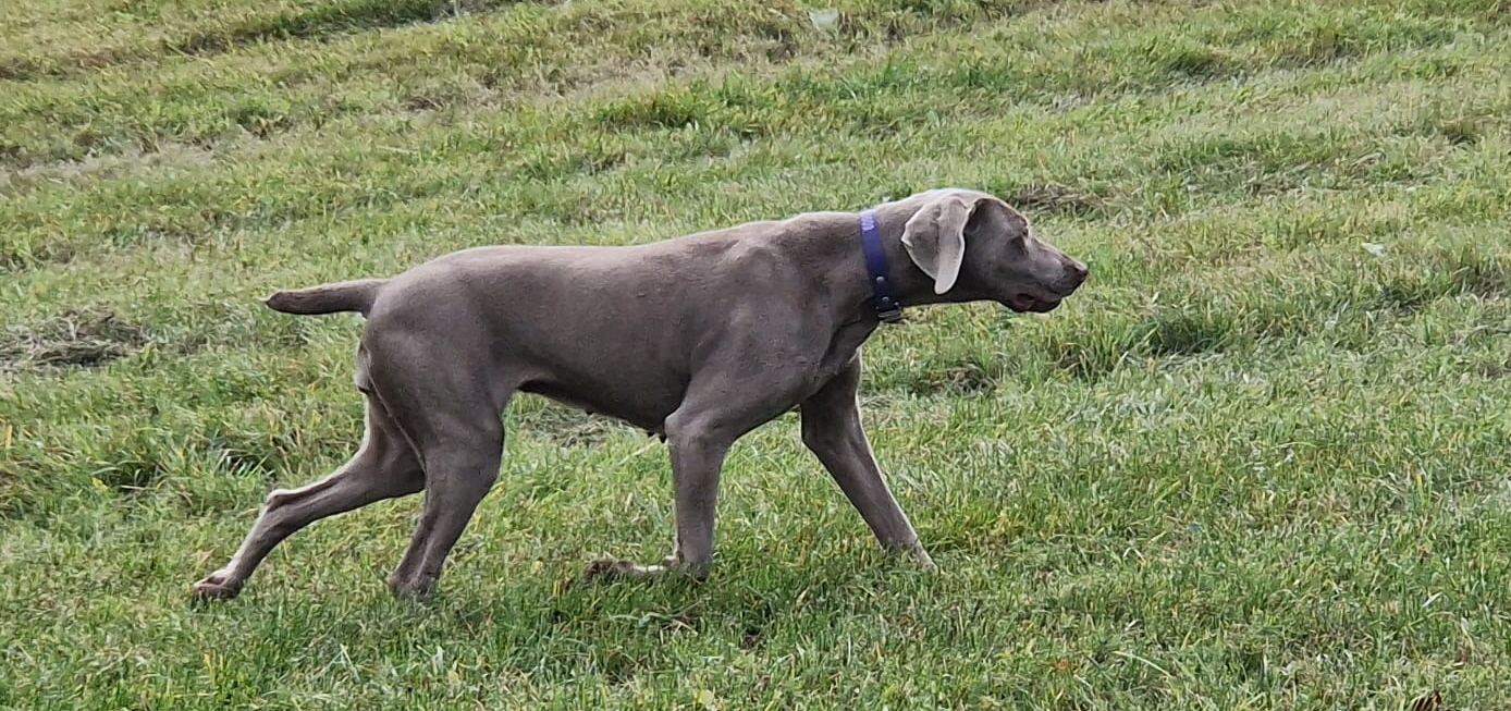 WhatsApp Bild 2025-11-06 um 21.00.48_b9f58e25