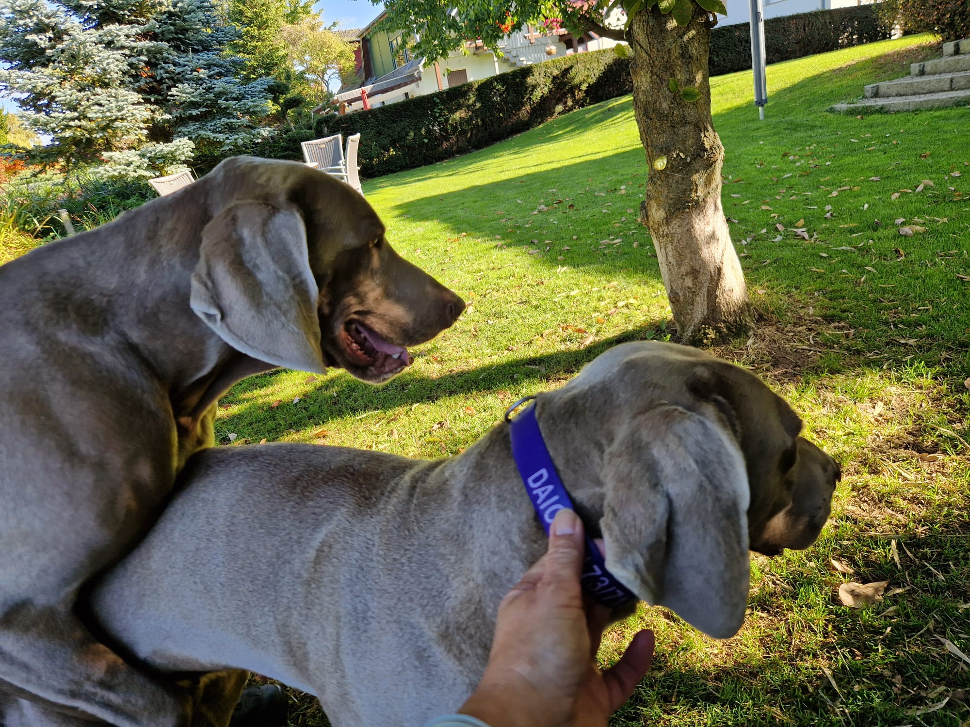 WhatsApp Bild 2025-11-06 um 21.03.31_00641482 WhatsApp Bild 2025-11-06 um 21.03.31_00641482