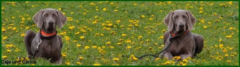 2 (3) (FILEminimizer) 2 (3) (FILEminimizer)