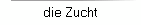 die Zucht