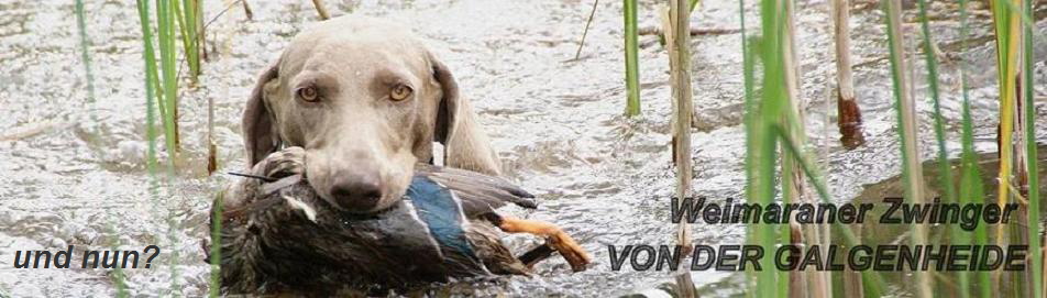 und nun?